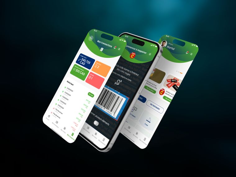 Aperçu du projet YandiPay